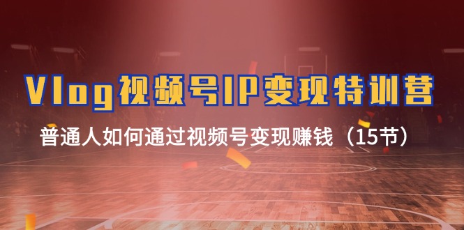 Vlog视频号IP变现特训营，普通人如何通过视频号变现赚钱（15节）-大可网创