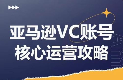 亚马逊VC账号核心玩法解析，实战经验拆解产品模块运营技巧，提升店铺GMV，有效提升运营利润-大可网创