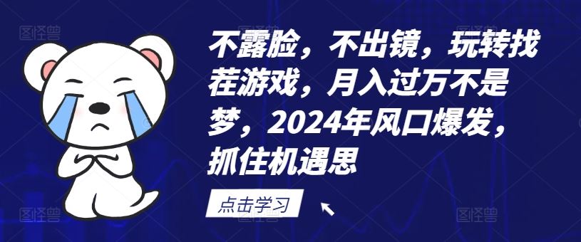 不露脸，不出镜，玩转找茬游戏，月入过万不是梦，2024年风口爆发，抓住机遇【揭秘】-大可网创