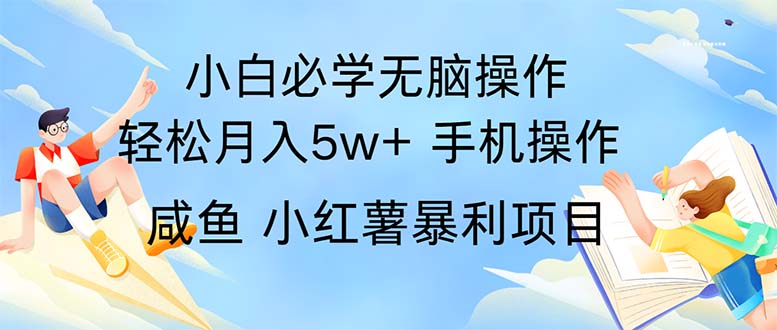 （11953期）2024热门暴利手机操作项目，简单无脑操作，每单利润最少500-大可网创