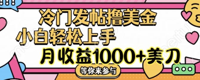 冷门发帖撸美金项目，月收益1000+美金，简单无脑，干就完了【揭秘】-大可网创