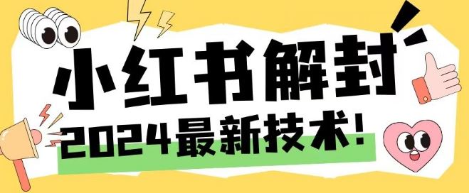 2024最新小红书账号封禁解封方法，无限释放手机号【揭秘】-大可网创