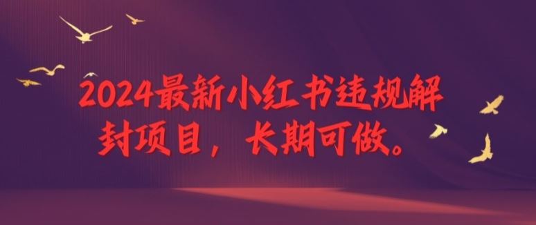 2024最新小红书违规解封项目，长期可做，一个可以做到退休的项目【揭秘】-大可网创