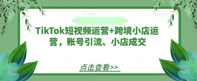 TikTok短视频运营+跨境小店运营，账号引流、小店成交-大可网创