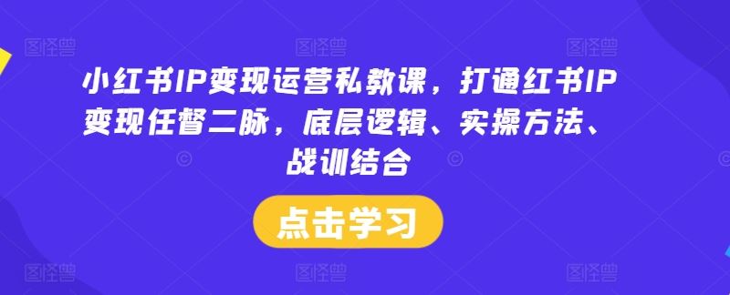 小红书IP变现运营私教课，打通红书IP变现任督二脉，底层逻辑、实操方法、战训结合-大可网创
