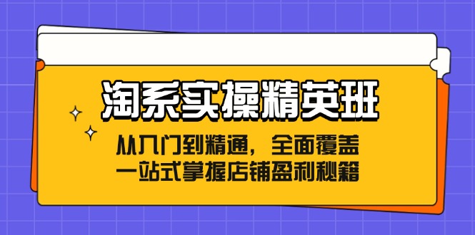 （12276期）淘系实操精英班：从入门到精通，全面覆盖，一站式掌握店铺盈利秘籍-大可网创