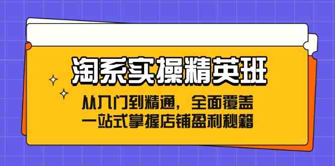 淘系实操精英班：从入门到精通，全面覆盖，一站式掌握店铺盈利秘籍-大可网创