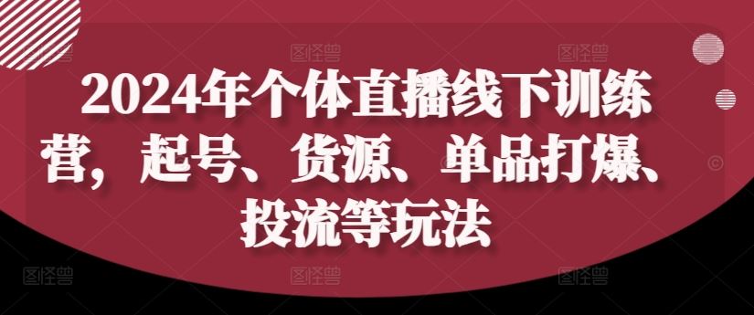2024年个体直播训练营，起号、货源、单品打爆、投流等玩法-大可网创