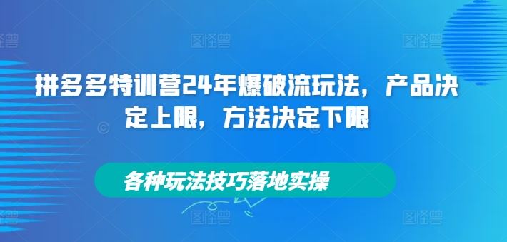 拼多多特训营24年爆破流玩法，产品决定上限，方法决定下限，各种玩法技巧落地实操-大可网创