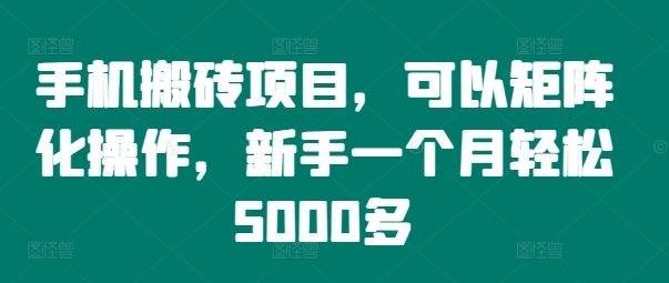 手机搬砖项目，可以矩阵化操作，新手一个月轻松5000多-大可网创
