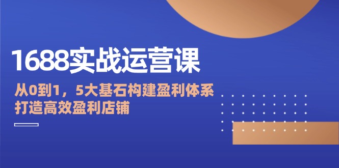 （12482期）1688实战运营课：从0到1，5大基石构建盈利体系，打造高效盈利店铺-大可网创