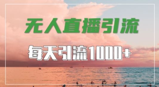 抖音快手视频号全平台通用，无人直播引流法，超暴力引流1000+高质量精准创业粉【揭秘】-大可网创