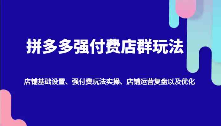 拼多多强付费店群玩法：店铺基础设置、强付费玩法实操、店铺运营复盘以及优化-大可网创
