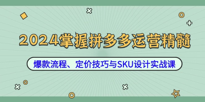 （12703期）2024掌握拼多多运营精髓：爆款流程、定价技巧与SKU设计实战课-大可网创