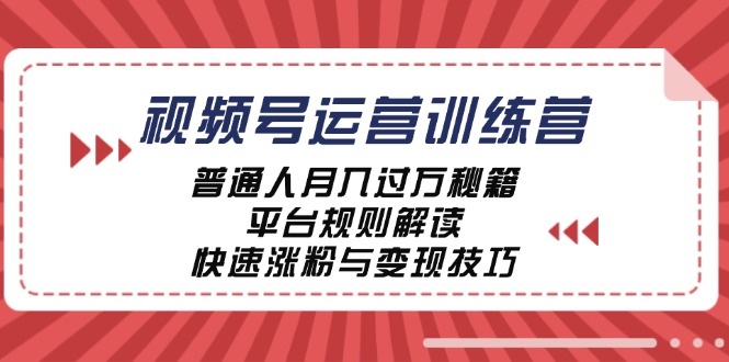 视频号运营训练营：普通人月入过万秘籍，平台规则解读，快速涨粉与变现-大可网创