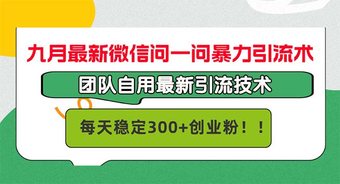 （12735期）九月最新微信问一问暴力引流术，团队自用引流术，每天稳定300+创…-大可网创