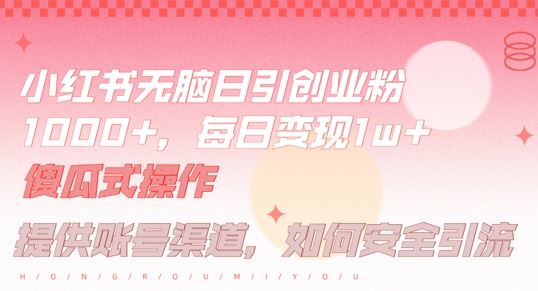 小红书无脑每日引流创业粉500+，小白每天只花半小时，躺赚长尾收益【揭秘】-大可网创