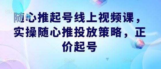 随心推起号线上视频课，实操随心推投放策略，正价起号-大可网创