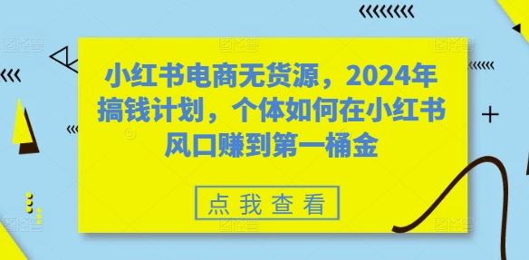 小红书电商无货源，2024年搞钱计划，个体如何在小红书风口赚到第一桶金-大可网创