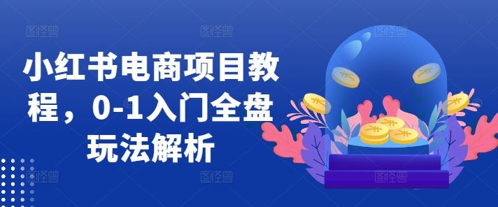 小红书电商项目教程，0-1入门全盘玩法解析-大可网创