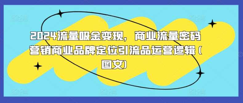 2024流量吸金变现，商业流量密码营销商业品牌定位引流品运营逻辑(图文)-大可网创