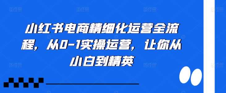 小红书电商精细化运营全流程，从0-1实操运营，让你从小白到精英-大可网创