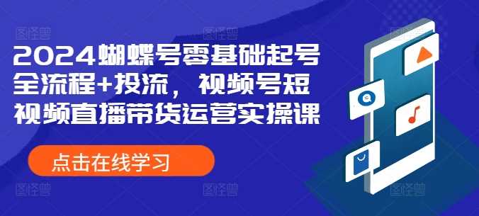 2024蝴蝶号零基础起号全流程+投流，视频号短视频直播带货运营实操课-大可网创