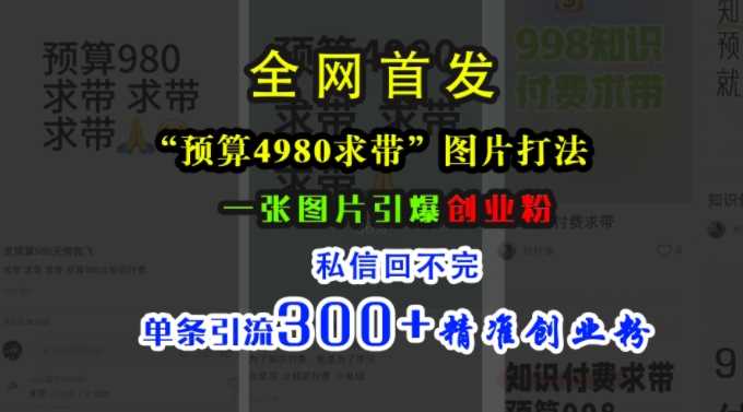小红书“预算4980带我飞”图片打法，一张图片引爆创业粉，私信回不完，单条引流300+精准创业粉-大可网创