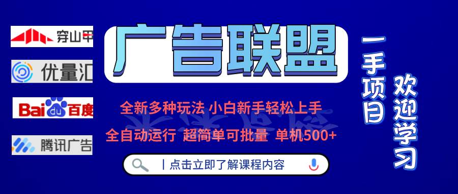（13258期）广告联盟 全新多种玩法 单机500+  全自动运行  可批量运行-大可网创
