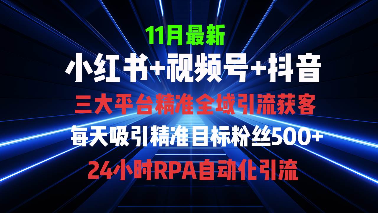 （13259期）全域多平台引流私域打法，小红书，视频号，抖音全自动获客，截流自…-大可网创