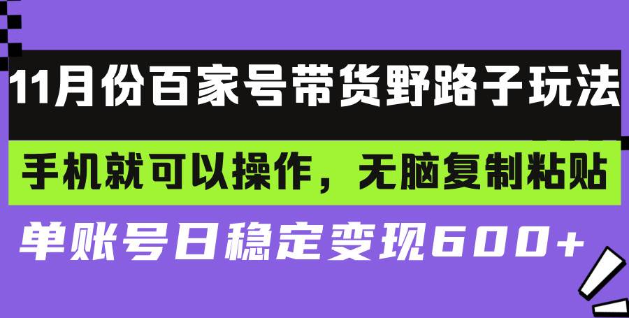 （13281期）百家号带货野路子玩法 手机就可以操作，无脑复制粘贴 单账号日稳定变现…-大可网创