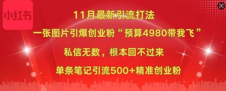 小红书11月最新图片打粉，一张图片引爆创业粉，“预算4980带我飞”，单条引流500+精准创业粉-大可网创