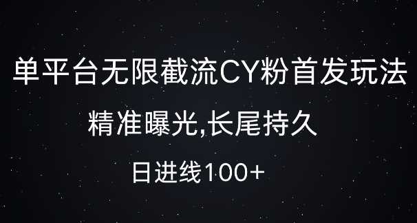 单平台无限截流创业粉首发玩法，精准曝光，长尾持久，日引流100+【揭秘】-大可网创