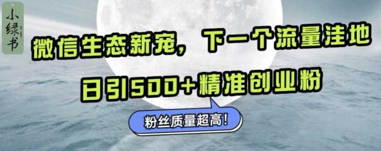 微信生态新宠小绿书：下一个流量洼地，日引500+精准创业粉，粉丝质量超高-大可网创