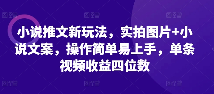 小说推文新玩法，实拍图片+小说文案，操作简单易上手，单条视频收益四位数-大可网创