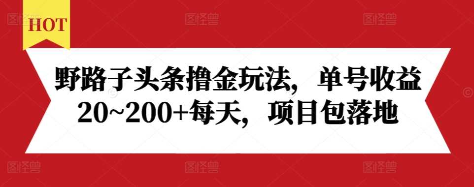 野路子头条撸金玩法，单号收益20~200+每天，项目包落地-大可网创