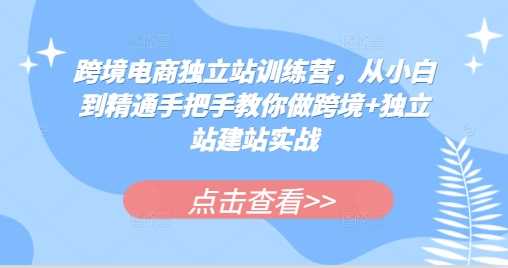 跨境电商独立站训练营，从小白到精通手把手教你做跨境+独立站建站实战-大可网创