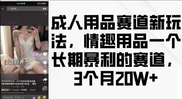 成人用品赛道新玩法，情趣用品一个长期暴利的赛道，3个月收益20个【揭秘】-大可网创
