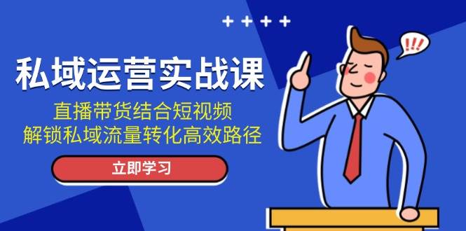 （13587期）私域运营实战课：直播带货结合短视频，解锁私域流量转化高效路径-大可网创