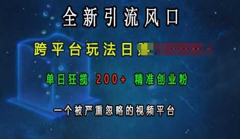 全新引流风口，跨平台玩法日入上k，单日狂揽200+精准创业粉，一个被严重忽略的视频平台-大可网创
