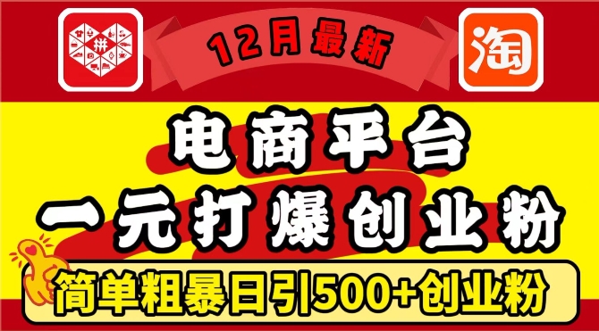 12月最新：电商平台1元打爆创业粉，简单粗暴日引500+精准创业粉，轻松月入过W【揭秘】-大可网创