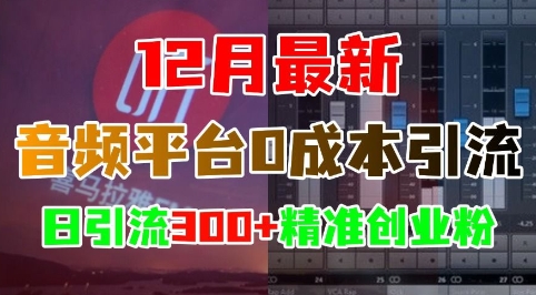 12月最新：音频平台0成本引流，日引流300+精准创业粉-大可网创
