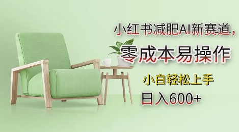 小红书减肥AI新赛道，零成本易操作，日入多张，小白轻松上手【揭秘】-大可网创