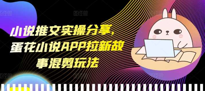 小说推文实操分享，蛋花小说APP拉新故事混剪玩法-大可网创