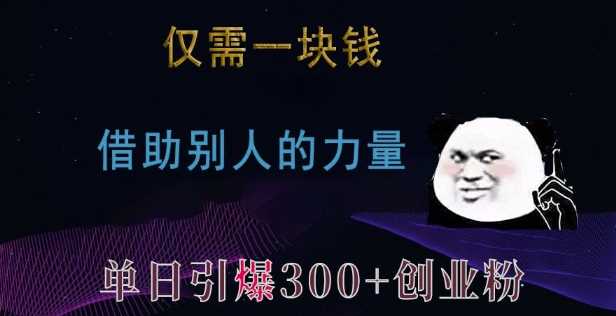仅需一块钱，借助别人的力量，单日引爆300+创业粉、兼职粉【揭秘】-大可网创