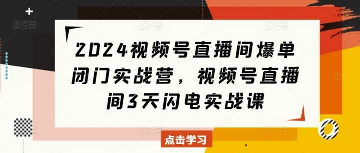 2024视频号直播间爆单闭门实战营，视频号直播间3天闪电实战课-大可网创
