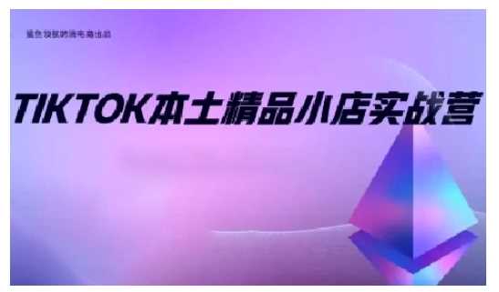TikTok本土精品小店出海实战营，从入门到高阶，不止0-1!-大可网创