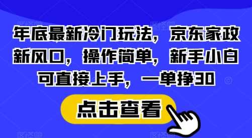 年底最新冷门玩法，京东家政新风口，操作简单，新手小白可直接上手，一单挣30【揭秘】-大可网创