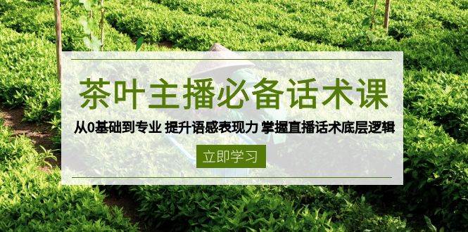 茶叶主播必备话术课 从0基础到专业 提升语感表现力 掌握直播话术底层逻辑-大可网创