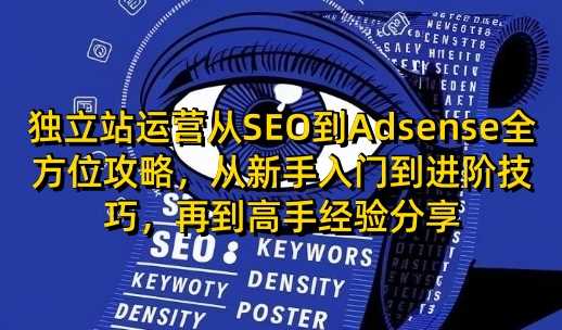 独立站运营从SEO到Adsense全方位攻略，从新手入门到进阶技巧，再到高手经验分享-大可网创